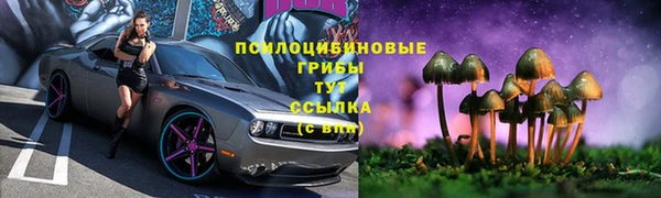 круглые Алзамай