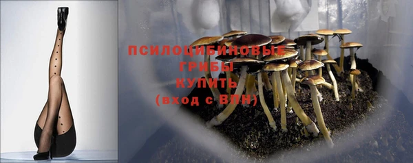 индика Наволоки